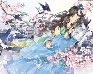 张金鱼吕总落地窗视频